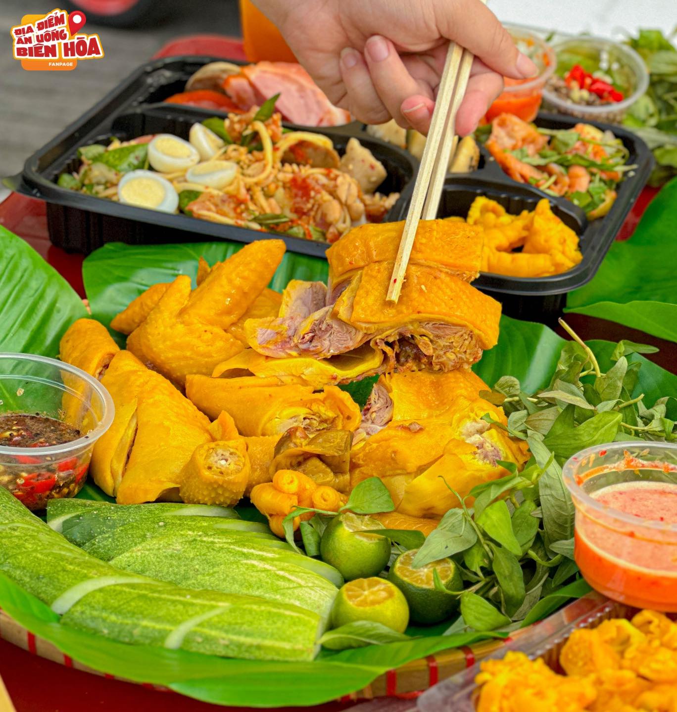 Tré trộn Thảo Sa