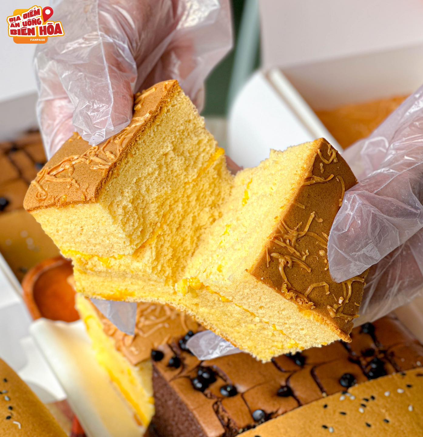 bánh bông lan tươi Đài Loan LANA BAKERY