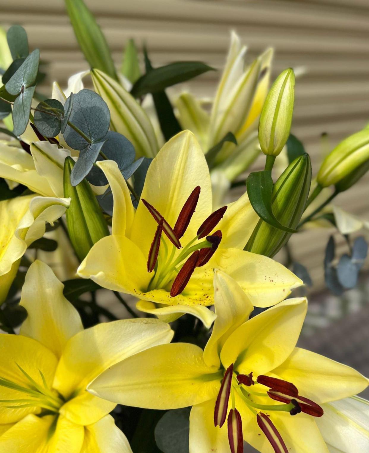 Tiệm Hoa Tươi và Trái Cây Les Petites Fleurs