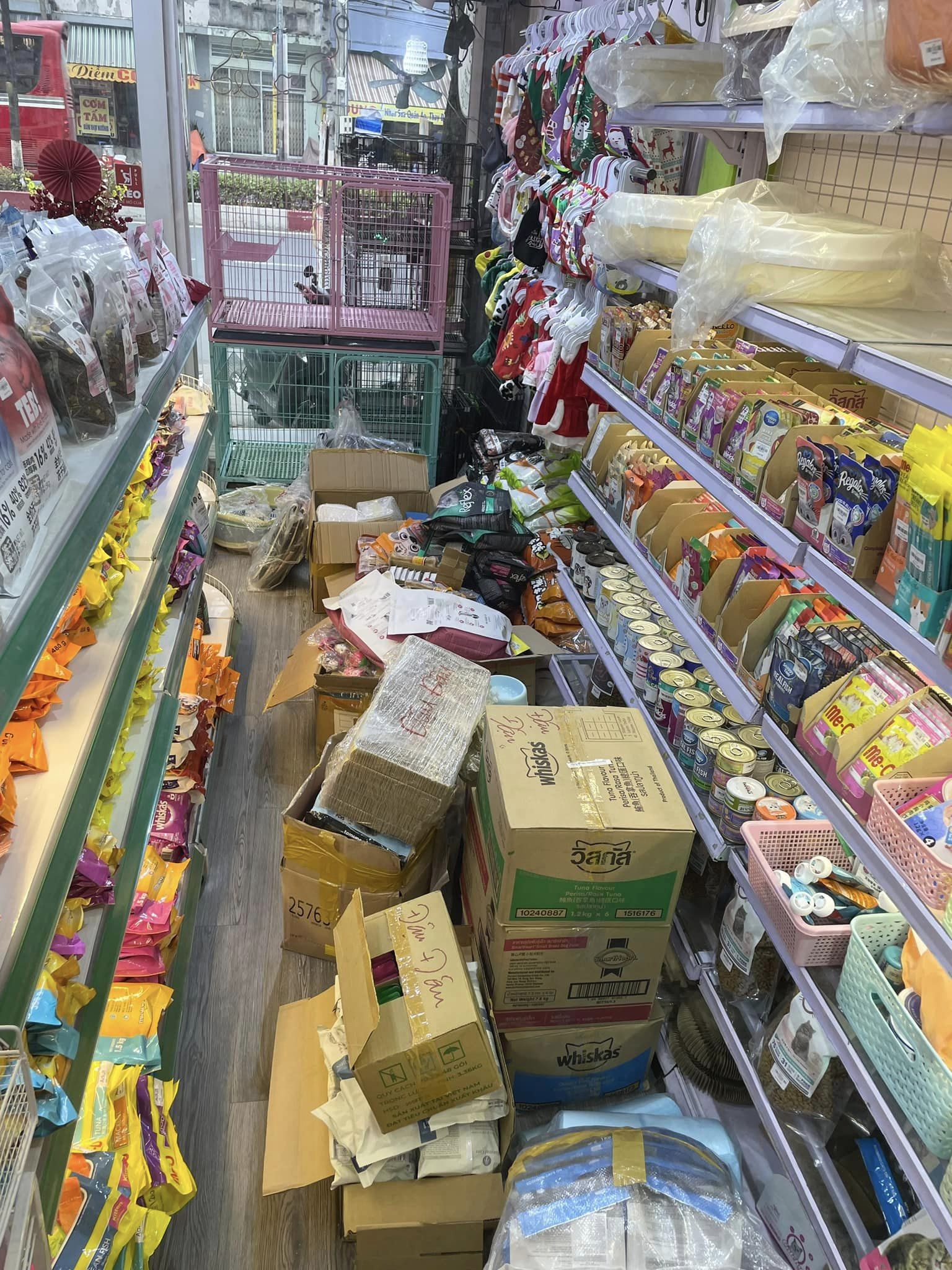 Thú Cưng Biên Hòa