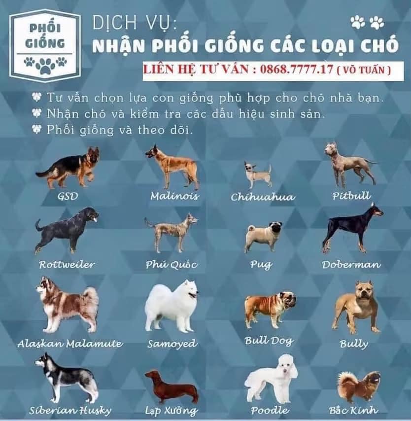 Thú Cưng Biên Hòa